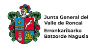 Junta General del Valle de Roncal
