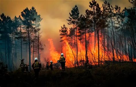 UZTÁRROZ CUENTA YA CON EL PLAN ESPECIAL DE ACTUACIÓN MUNICIPAL ANTE EMERGENCIAS POR INCENDIOS FORESTALES